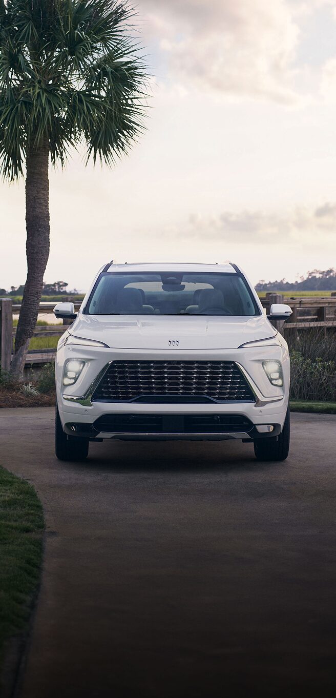 white car grille shot
