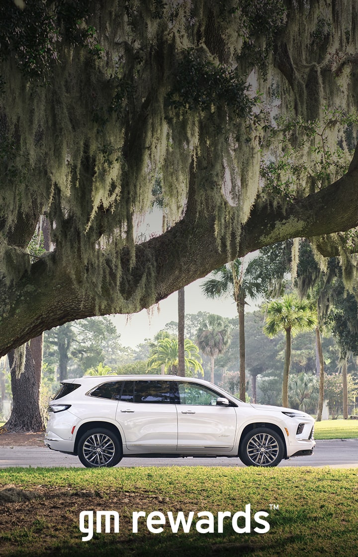 white car framed by tree