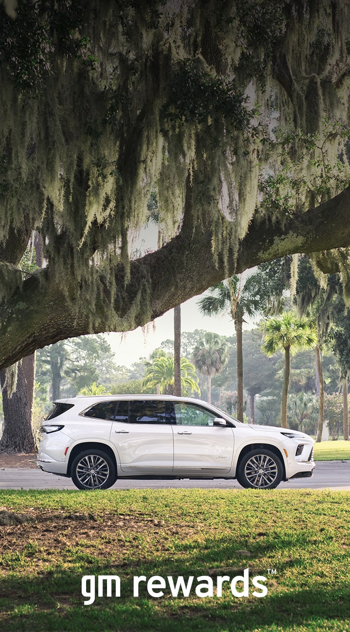 white car framed by tree