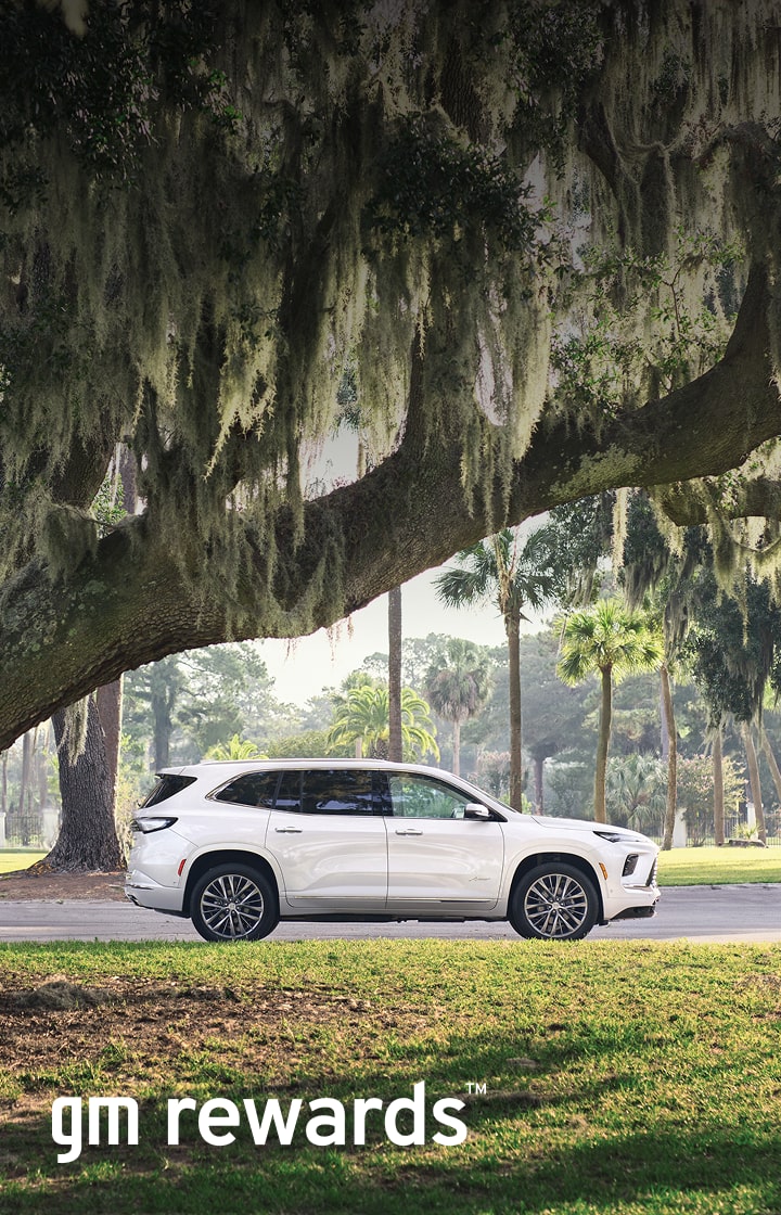 white car framed by tree