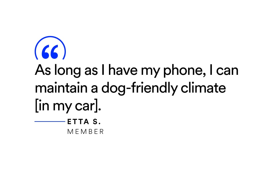 OnStar Member Quote