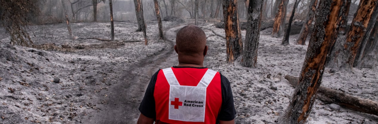 Man Wearing an American Red Cross Vest Standing in a Forest After a Wildfire