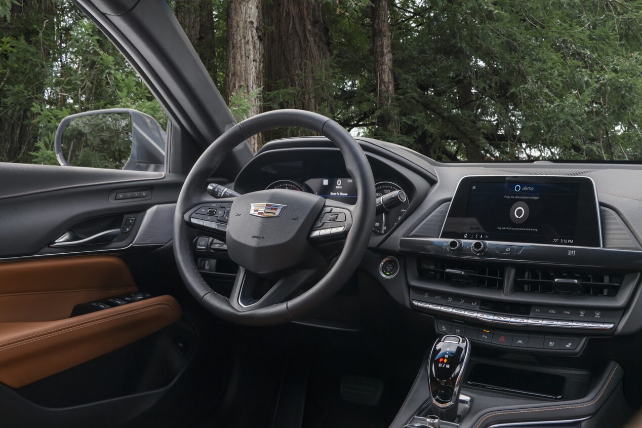 Close up of Steering Wheel & Infotainment System