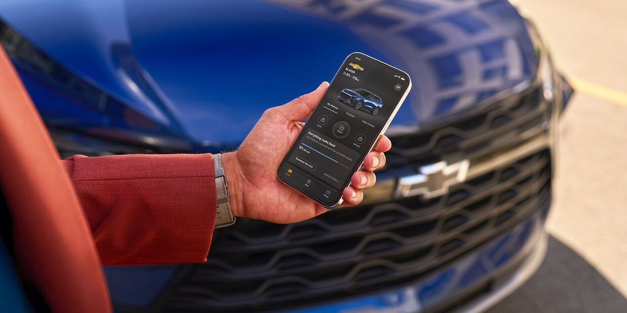 Person Using Smartphone in Front of Vehicle