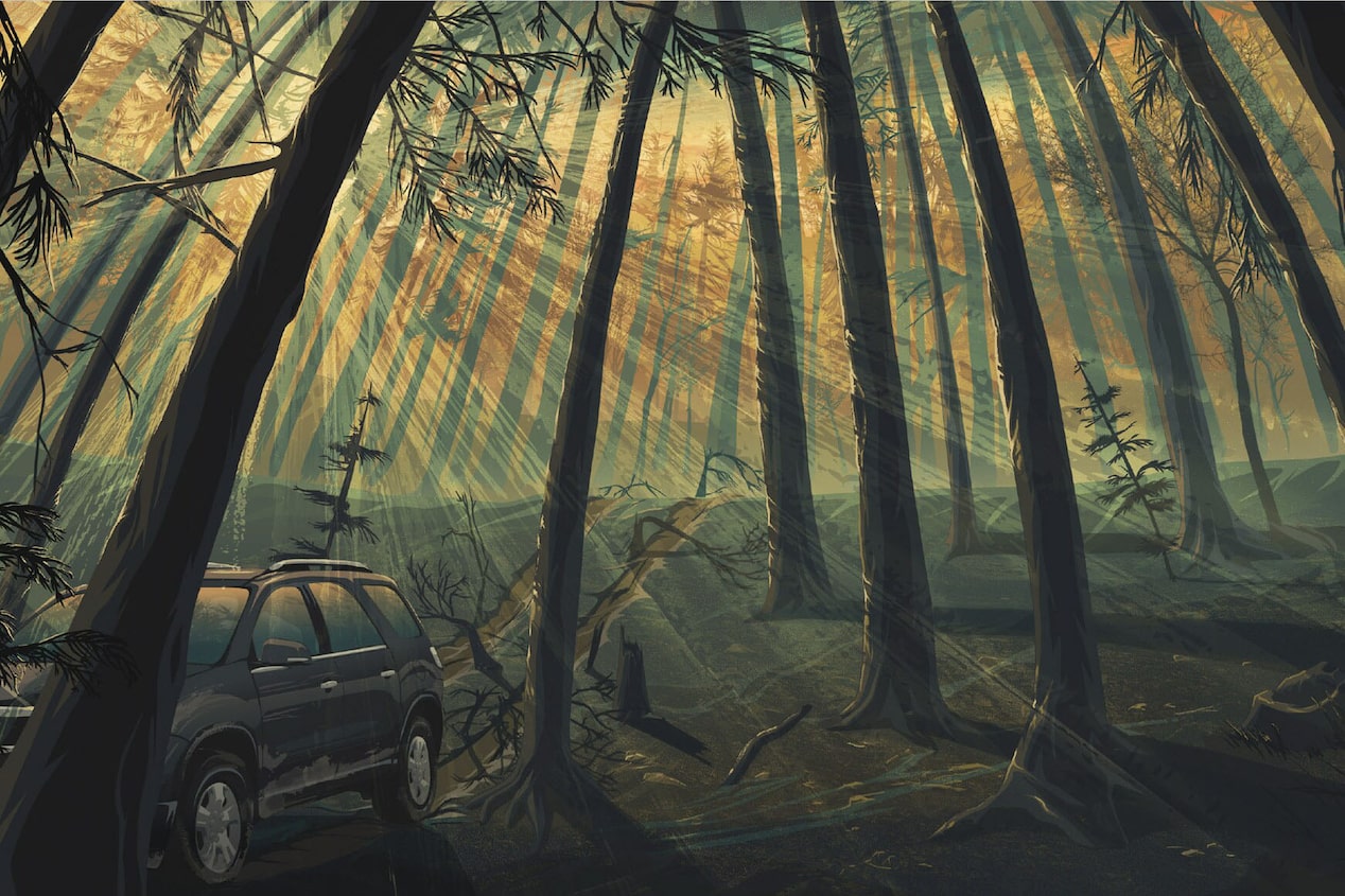 Illustration of a Vehicle That Has Crashed Into a Tree