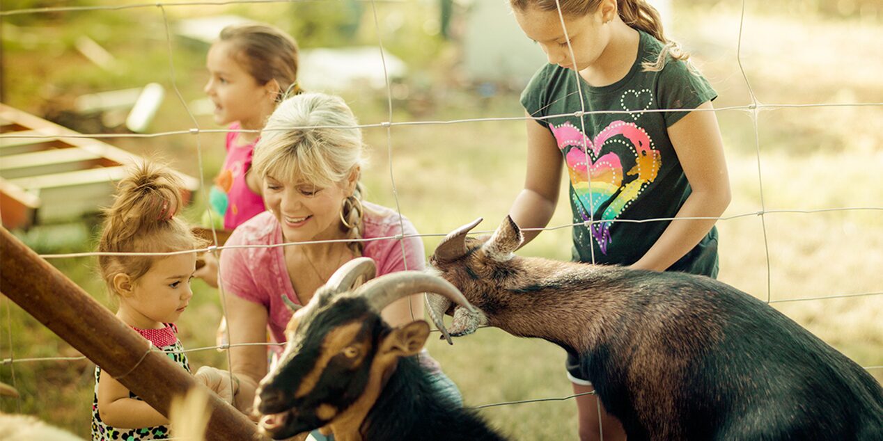 Kids Playing with Goats